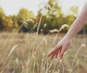 Screen-Free Sundays: Join Us For a 24 Hour Digital Detox